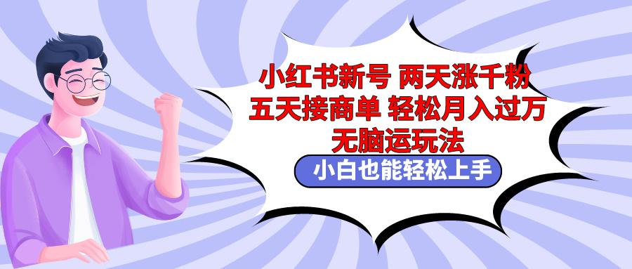 小红书新号两天涨千粉五天接商单轻松月入过万 无脑搬运玩法 小白也能轻…-情久项目网
