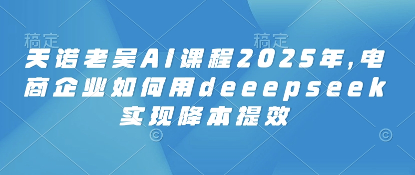 天诺老吴AI课程2025年，电商企业如何用deeepseek实现降本提效-情久项目网