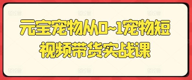 元宝宠物从0~1宠物短视频带货实战课-情久项目网