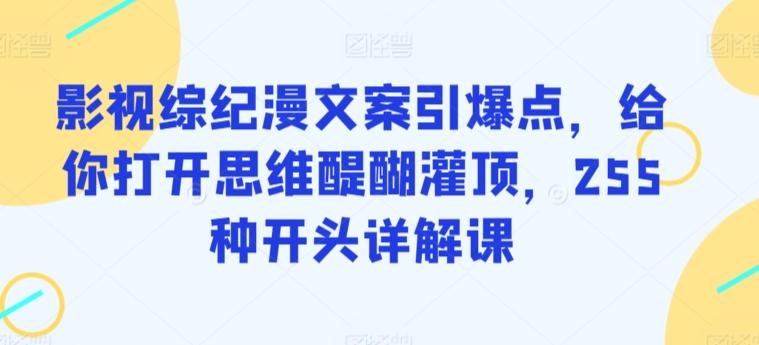 影视综纪漫文案引爆点，给你打开思维醍醐灌顶，255种开头详解课-情久项目网