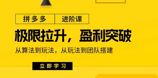 拼多多·进阶课：极限拉升/盈利突破：从算法到玩法 从玩法到团队搭建-18节-情久项目网
