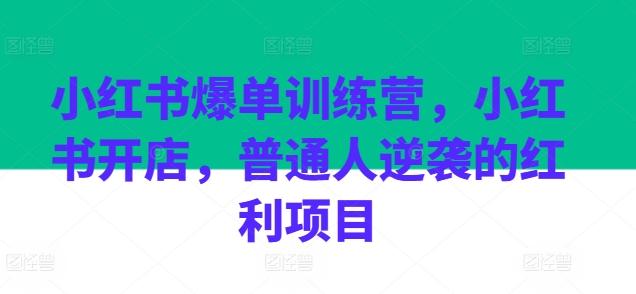 小红书爆单训练营，小红书开店，普通人逆袭的红利项目-情久项目网