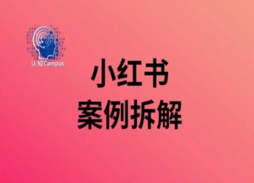 小红书案例拆解，深度解读小红书40万粉-情久项目网