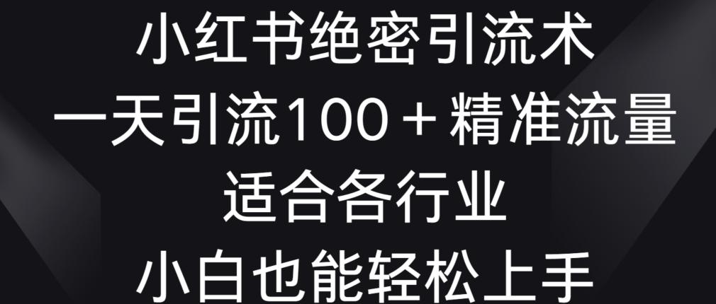 小红书绝密引流术，一天引流100+精准流量，适合各个行业，小白也能轻松上手【揭秘】-情久项目网