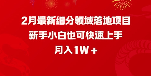 2月最新细分领域落地项目，新手小白也可快速上手，月入1W-情久项目网