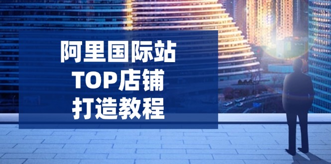 阿里国际站TOP店铺打造教程：涵盖平台到高阶，解决运营难题，提升询盘-情久项目网
