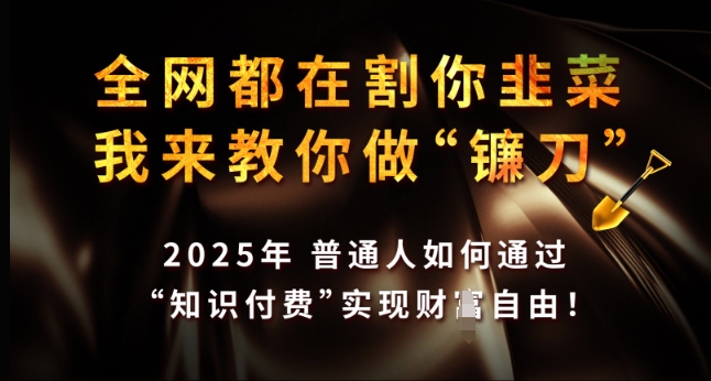 全网都在割你韭菜，我来教你做镰刀，2025年普通人如何通过 知识付费 实现财F自由【揭秘】-情久项目网