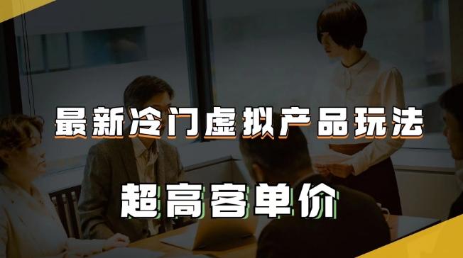 最新冷门虚拟产品玩法，超高客单价，月入2-3万＋【揭秘】-情久项目网