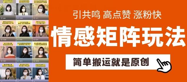 简单搬运，情感矩阵玩法，涨粉速度快，可带货，可起号【揭秘】-情久项目网