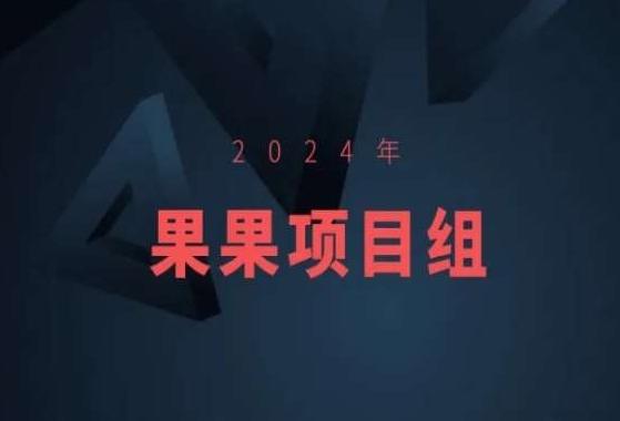 2024年果果项目组项目合集-果果最新项目-情久项目网