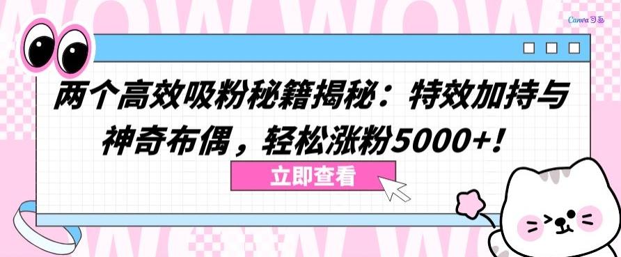 两个高效吸粉秘籍揭秘：特效加持与神奇布偶，轻松涨粉5000+【揭秘】-情久项目网