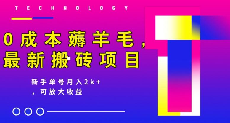 0成本薅羊毛，最新搬砖项目，新手单号月入2k+，可放大操作-情久项目网