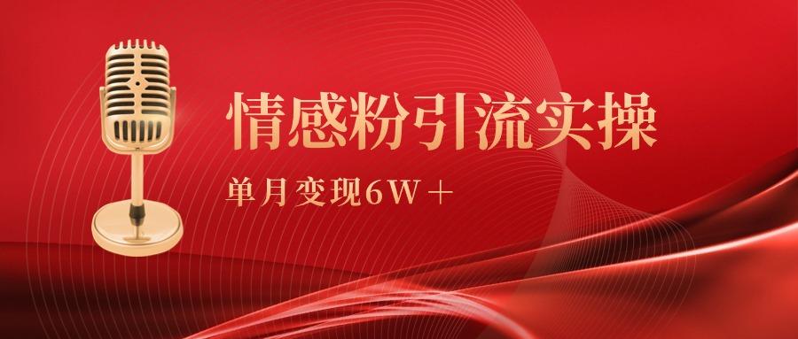 (9473期)单月变现6w+，情感粉引流变现实操课-情久项目网