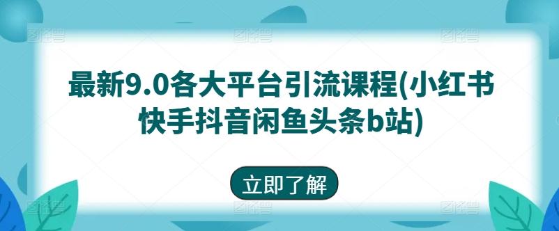 最新9.0各大平台引流课程(小红书快手抖音闲鱼头条b站)-情久项目网