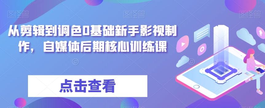 从剪辑到调色0基础新手影视制作，自媒体后期核心训练课-情久项目网