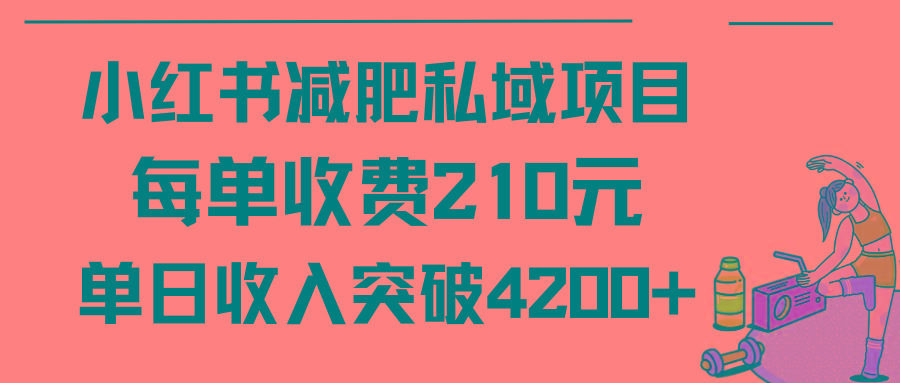 (9466期)小红书减肥私域项目每单收费210元单日成交20单，最高日入4200+-情久项目网