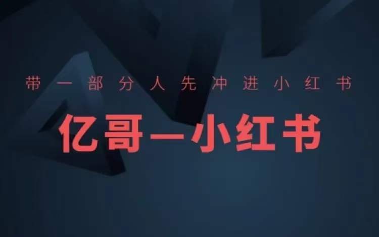 ​​带一部分人先冲进小红书，小红书开店、选品、爆款裂变-情久项目网