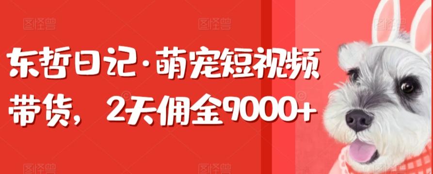 东哲日记·萌宠短视频带货，2天佣金9000+-情久项目网