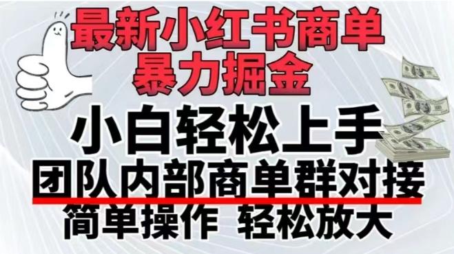 最新小红书商单，暴力掘金，单月稳定变现3W+-情久项目网