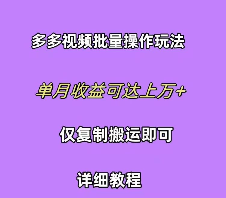 (10029期)拼多多视频带货快速过爆款选品教程 每天轻轻松松赚取三位数佣金 小白必...-情久项目网