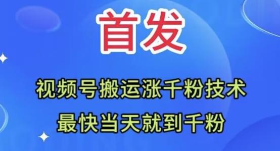 全网首发：视频号无脑搬运涨千粉技术，最快当天到千粉【揭秘】-情久项目网