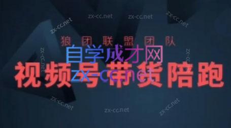 狼团联盟·2024视频号带货-情久项目网