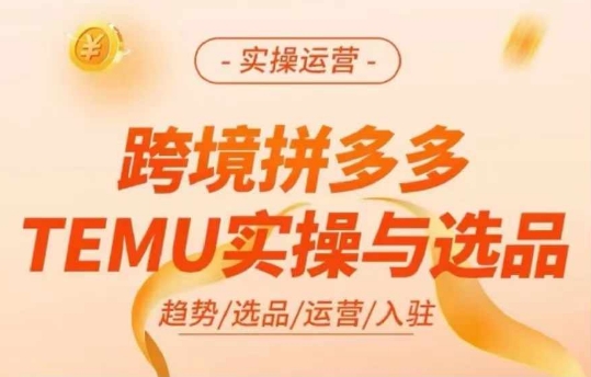 跨境拼多多TEMU实操与选品，多多temu跨境选品运营实操-情久项目网