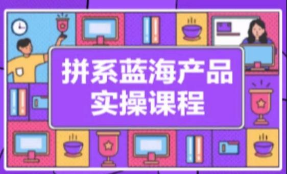 拼系冷门蓝海产品实操课程，从注册店铺到选品上架到流量维护环环相扣-情久项目网
