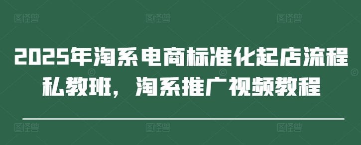 2025年淘系电商标准化起店流程私教班，淘系推广视频教程-情久项目网