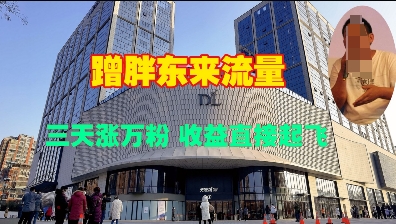 蹭胖东来流量，三天涨万粉，收益直接起飞-情久项目网