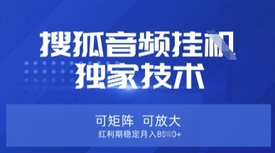 【搜狐音频挂G】独家技术，可矩阵可放大，红利期稳定月入8k【揭秘】-情久项目网