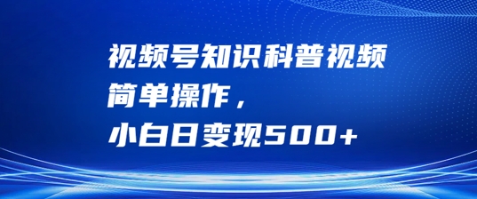 视频号知识科普视频，简单操作，小白日变现500+【揭秘】-情久项目网