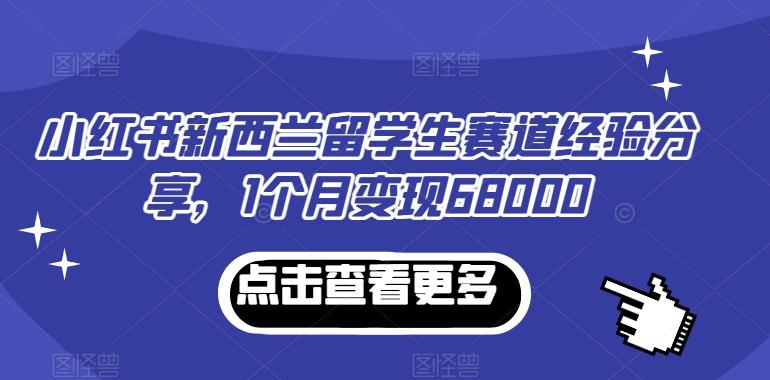 小红书新西兰留学生赛道经验分享，1个月变现68000【揭秘】-情久项目网