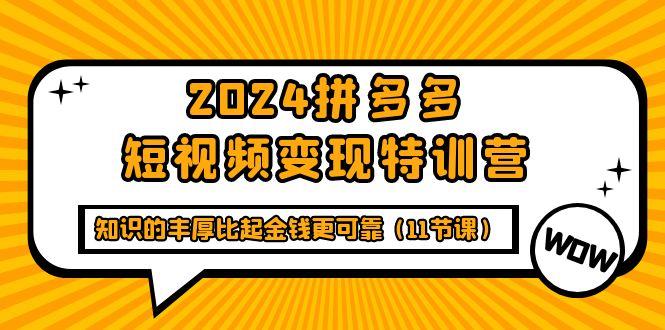 (9817期)2024拼多多短视频变现特训营，知识的丰厚比起金钱更可靠(11节课)-情久项目网
