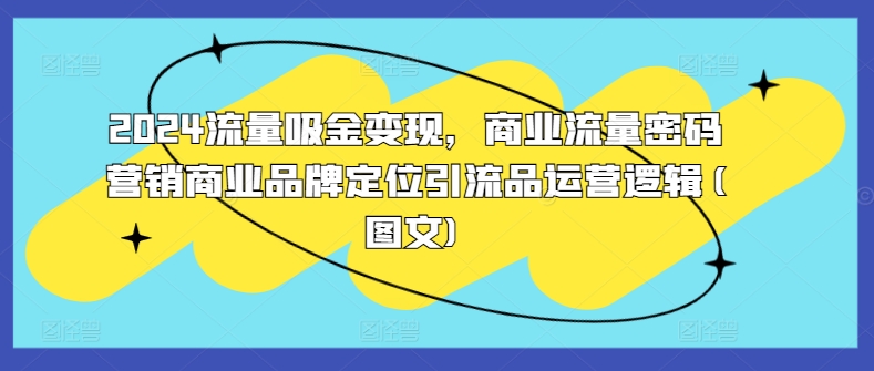 2024流量吸金变现，商业流量密码营销商业品牌定位引流品运营逻辑(图文)-情久项目网