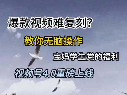 视频号4.0重磅上线，爆款视频难复刻？教你无脑操作宝妈学生党的福利【揭秘】-情久项目网