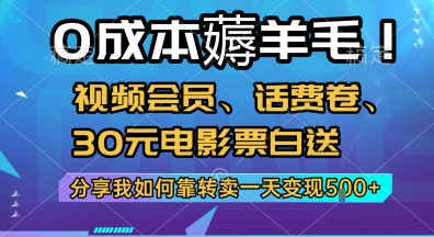 0成本薅羊毛!视频会员、话费卷、30元电影票白送，分享我如何靠转卖一天变现5张+【揭秘】-情久项目网