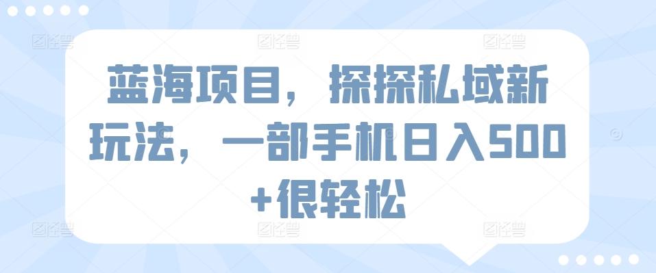 蓝海项目，探探私域新玩法，一部手机日入500+很轻松【揭秘】-情久项目网