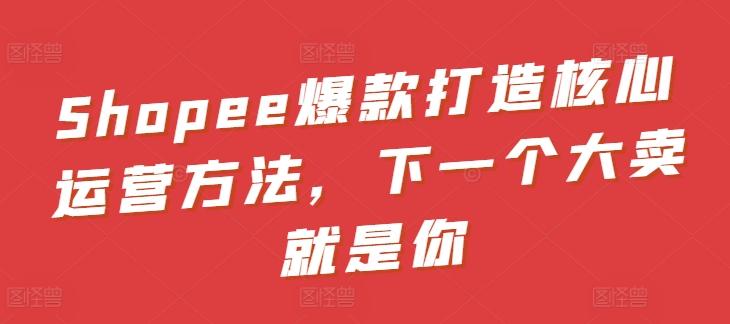 Shopee爆款打造核心运营方法，下一个大卖就是你-情久项目网