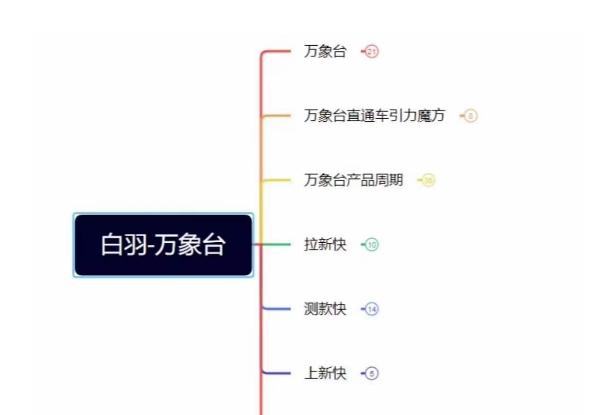 白羽·直引万搜索全篇，从0-1，多个类目实操经验总结付费-情久项目网