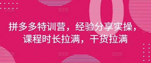 拼多多特训营，经验分享实操，课程时长拉满，干货拉满(更新25年4月)-情久项目网