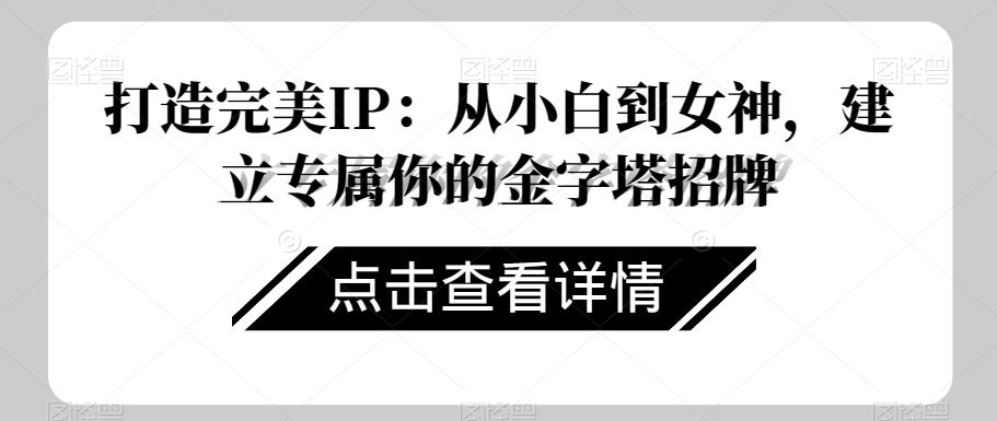 打造完美IP：从小白到女神，建立专属你的金字塔招牌-情久项目网