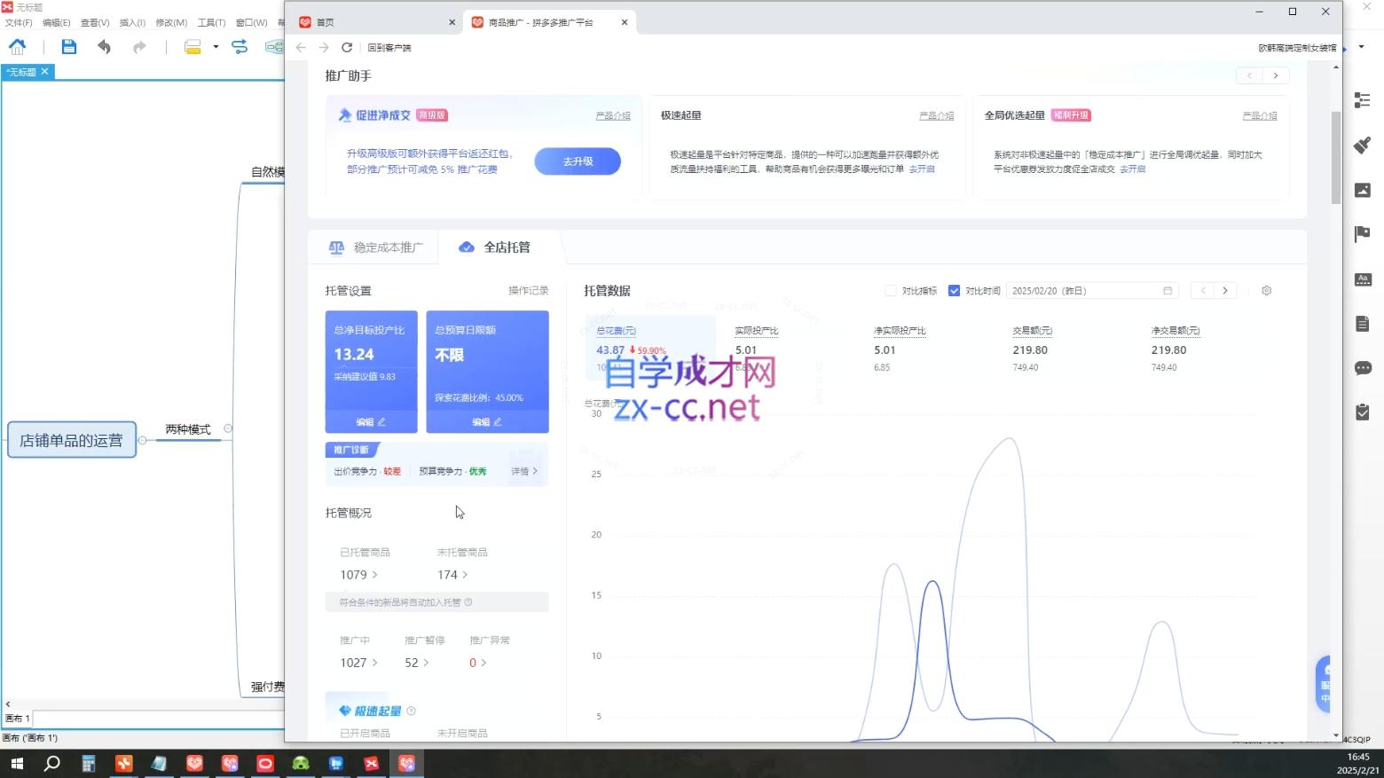 齐论拼多多vip课程-情久项目网