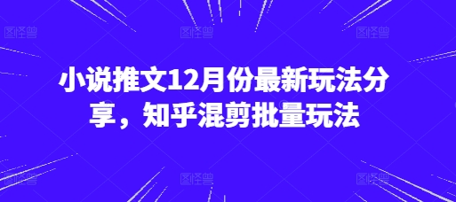 小说推文12月份最新玩法分享，知乎混剪批量玩法-情久项目网