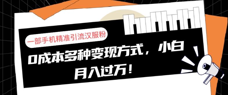一部手机精准引流汉服粉，0成本多种变现方式，小白月入过万！-情久项目网