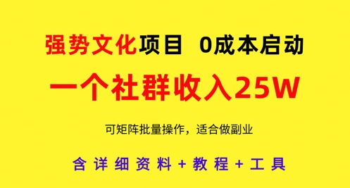 强势文化项目，一个社群收入25个W，0成本启动，可矩阵批量操作，原创详细实操教程-情久项目网