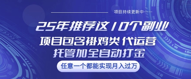 25年推荐这10个副业项目包含褂鸡类、代运营托管类、全自动打金类【揭秘】-情久项目网