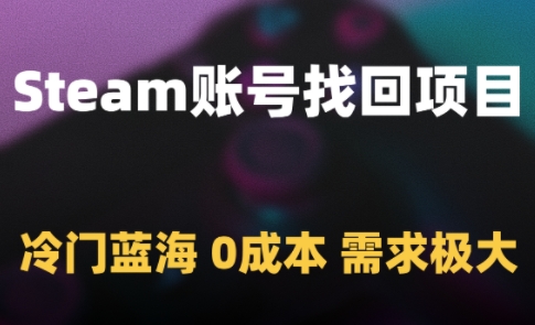 Steam账号找回项目，冷门蓝海，0成本，需求极大-情久项目网