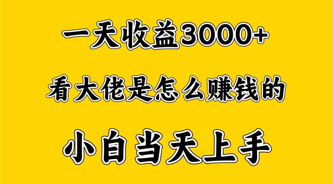 一天赚3000多，大佬是这样赚到钱的，小白当天上手，穷人翻身项目-情久项目网