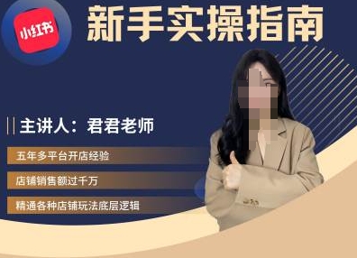 君君-小红书电商从入门到精通，新手实操指南-情久项目网
